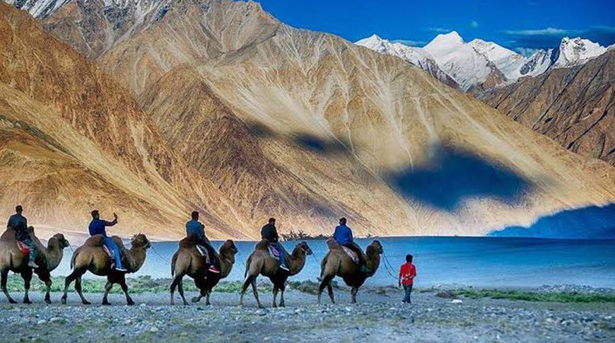 Leh Nubra Pangong Tour